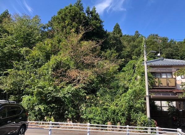 月岡　土地